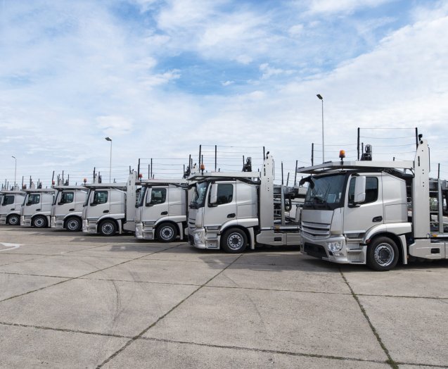 Group of trucks parked in line at truck stop.